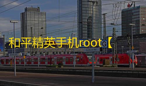 和平精英手机root【初心内部】何平内核-科技